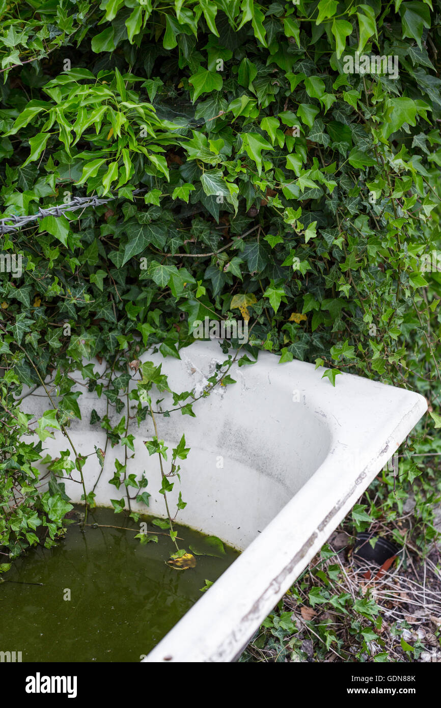 Horse trough tub hi-res stock photography and images - Alamy