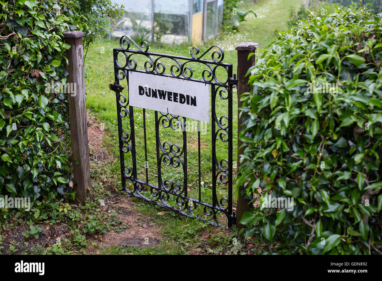 Detail from a local allotment with garden gate and funny sign stating the  pl;ace is called Dunweedin Stock Photo - Alamy