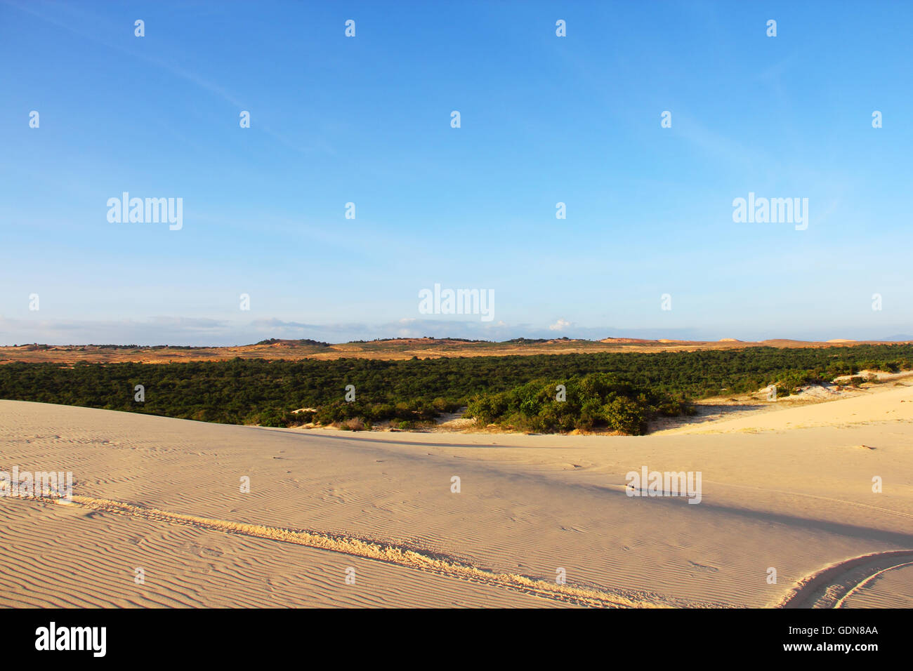 Oasis in desert landscape under bluy sky at sunny day Stock Photo - Alamy