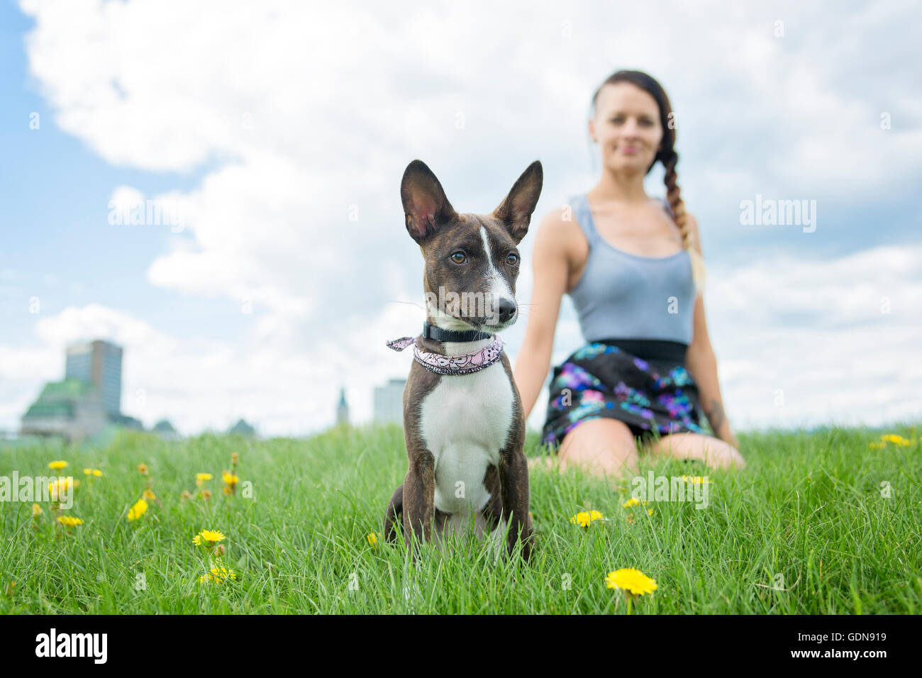 girl with a dog in the park Stock Photo - Alamy