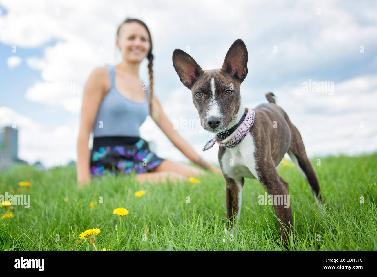 girl with a dog in the park Stock Photo - Alamy