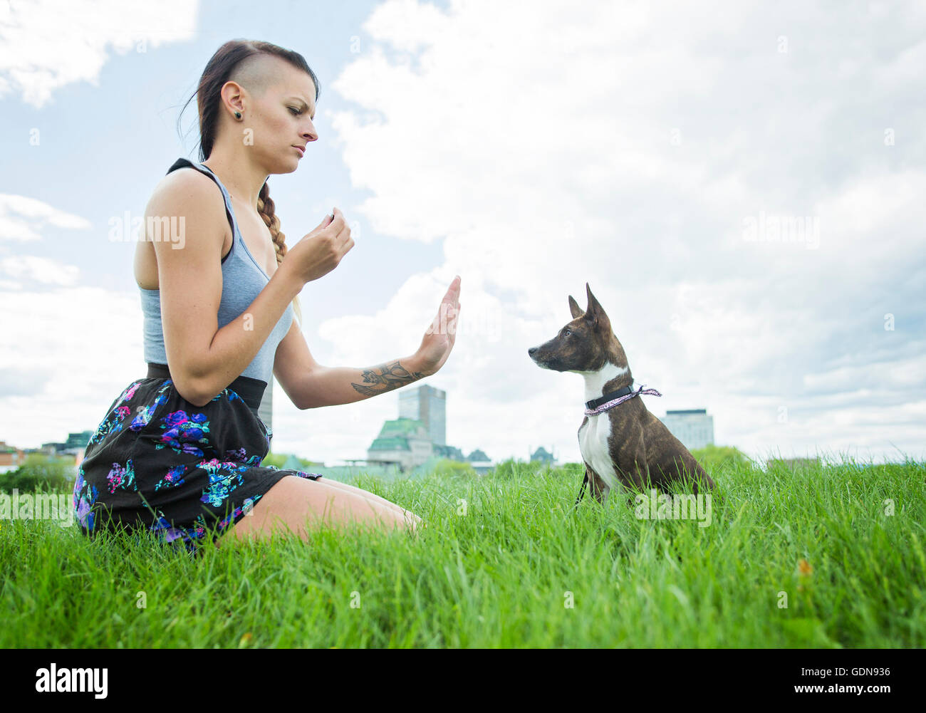 girl with a dog in the park Stock Photo - Alamy