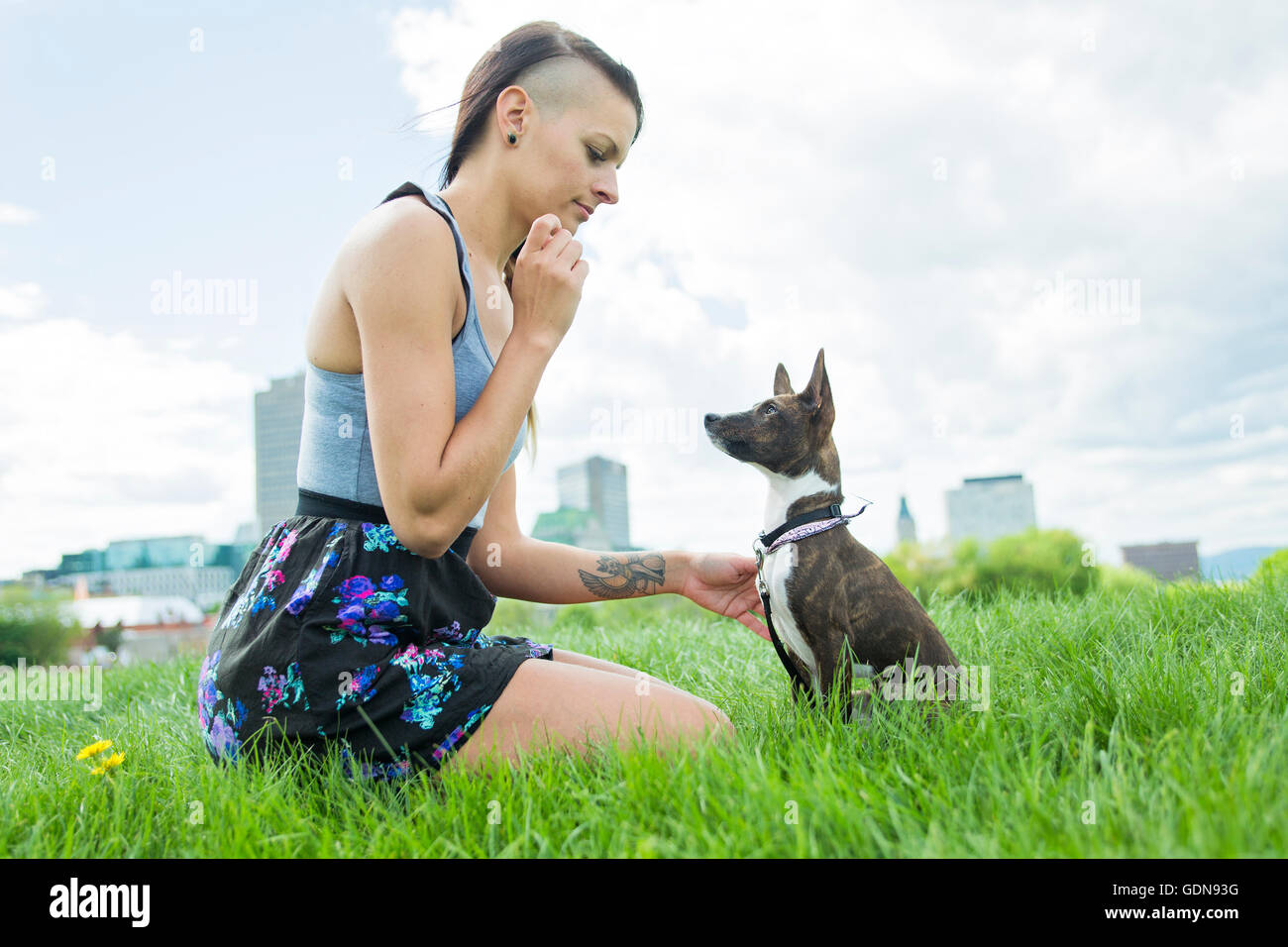 girl with a dog in the park Stock Photo
