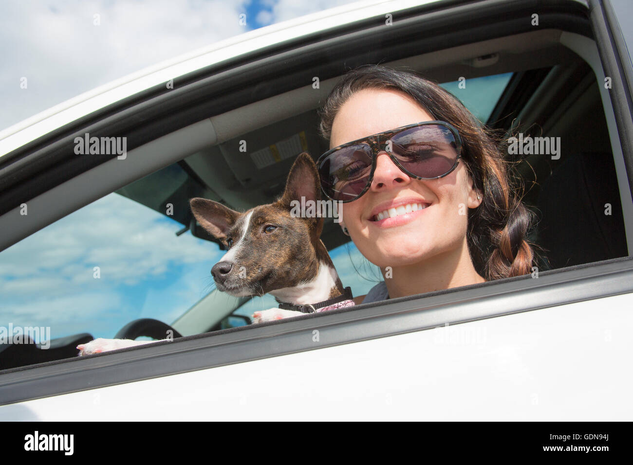 Woman and dog in car on summer travel. Stock Photo