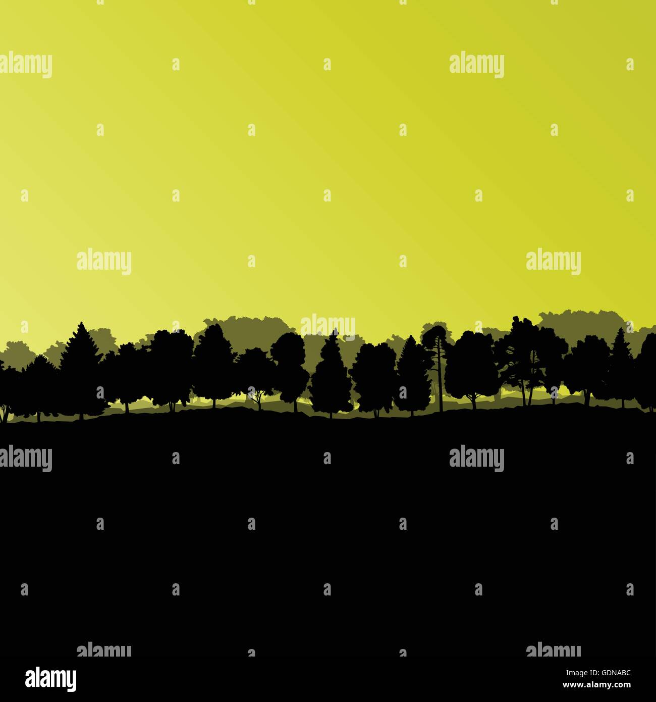 Forest trees silhouettes natural wild landscape detailed illustration ...