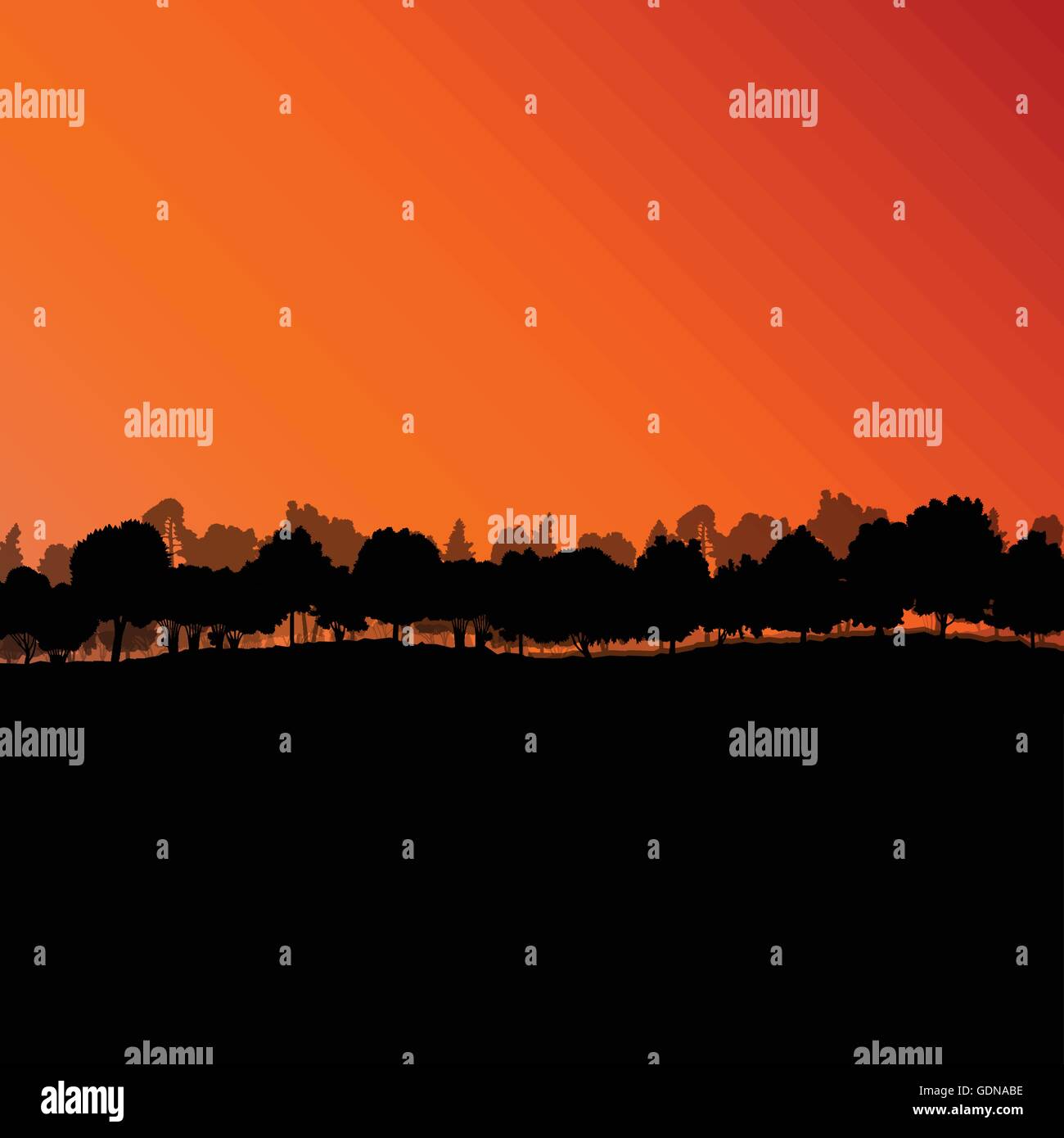 Forest trees silhouettes natural wild landscape detailed illustration ...