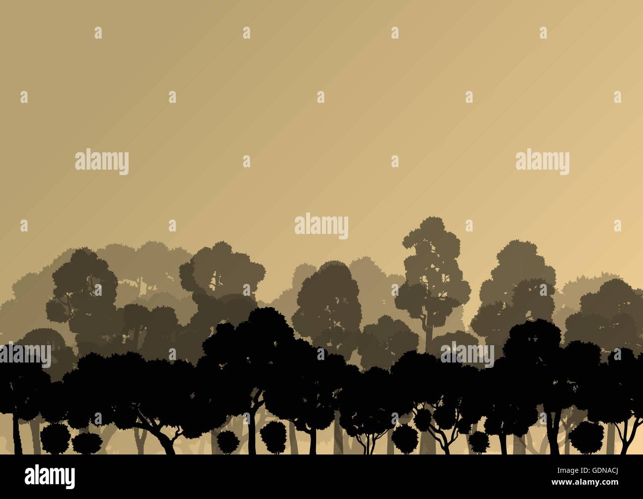 Forest trees silhouettes natural wild landscape detailed illustration ...