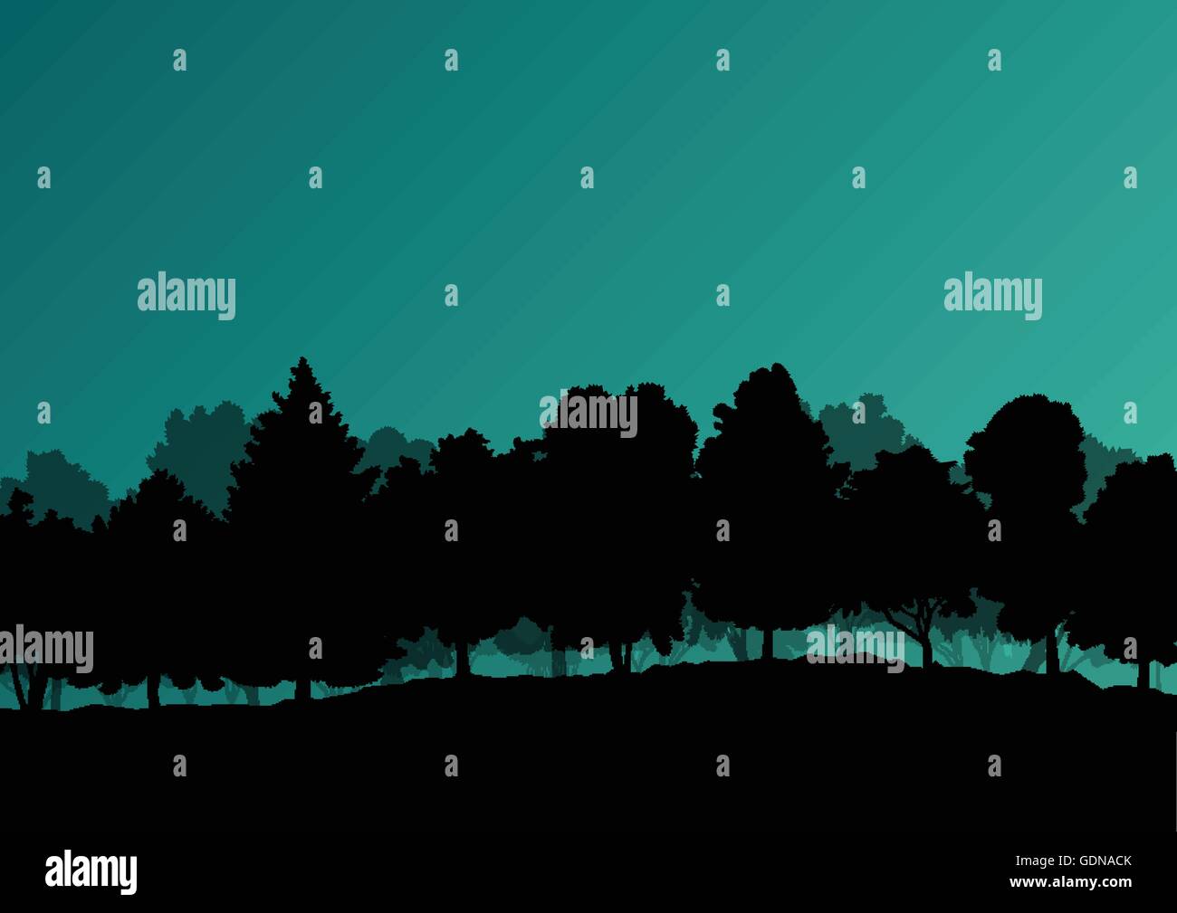 Forest trees silhouettes natural wild landscape detailed illustration ...