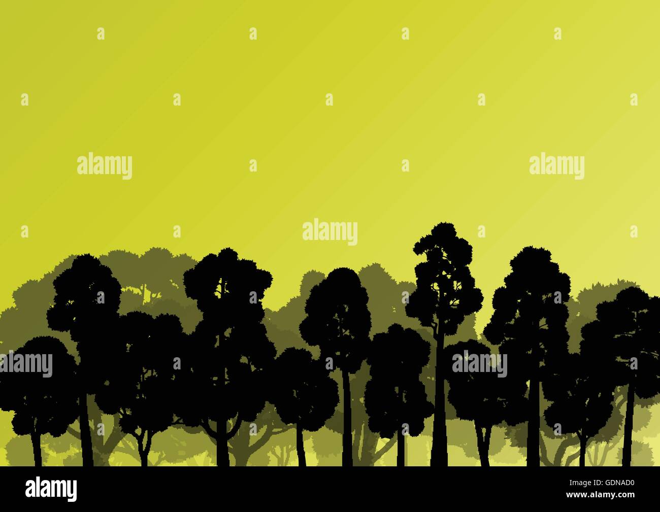 Forest trees silhouettes natural wild landscape detailed illustration ...