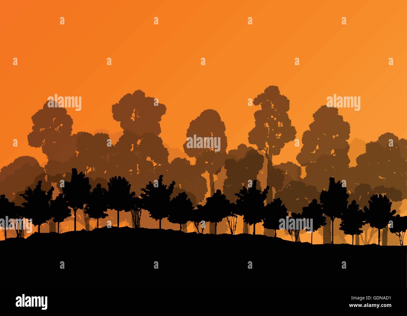 Forest trees silhouettes natural wild landscape detailed illustration ...