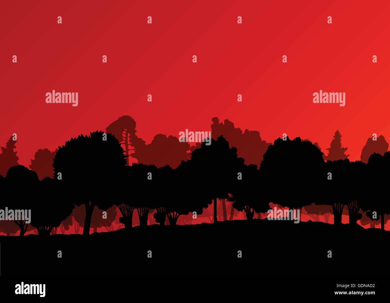 Forest trees silhouettes natural wild landscape detailed illustration ...