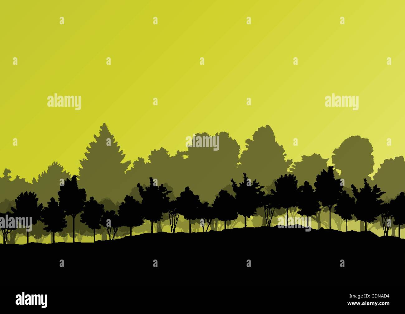 Forest trees silhouettes natural wild landscape detailed illustration ...