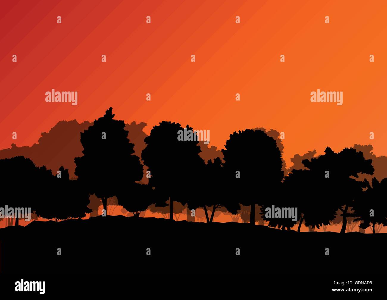 Forest trees silhouettes natural wild landscape detailed illustration ...