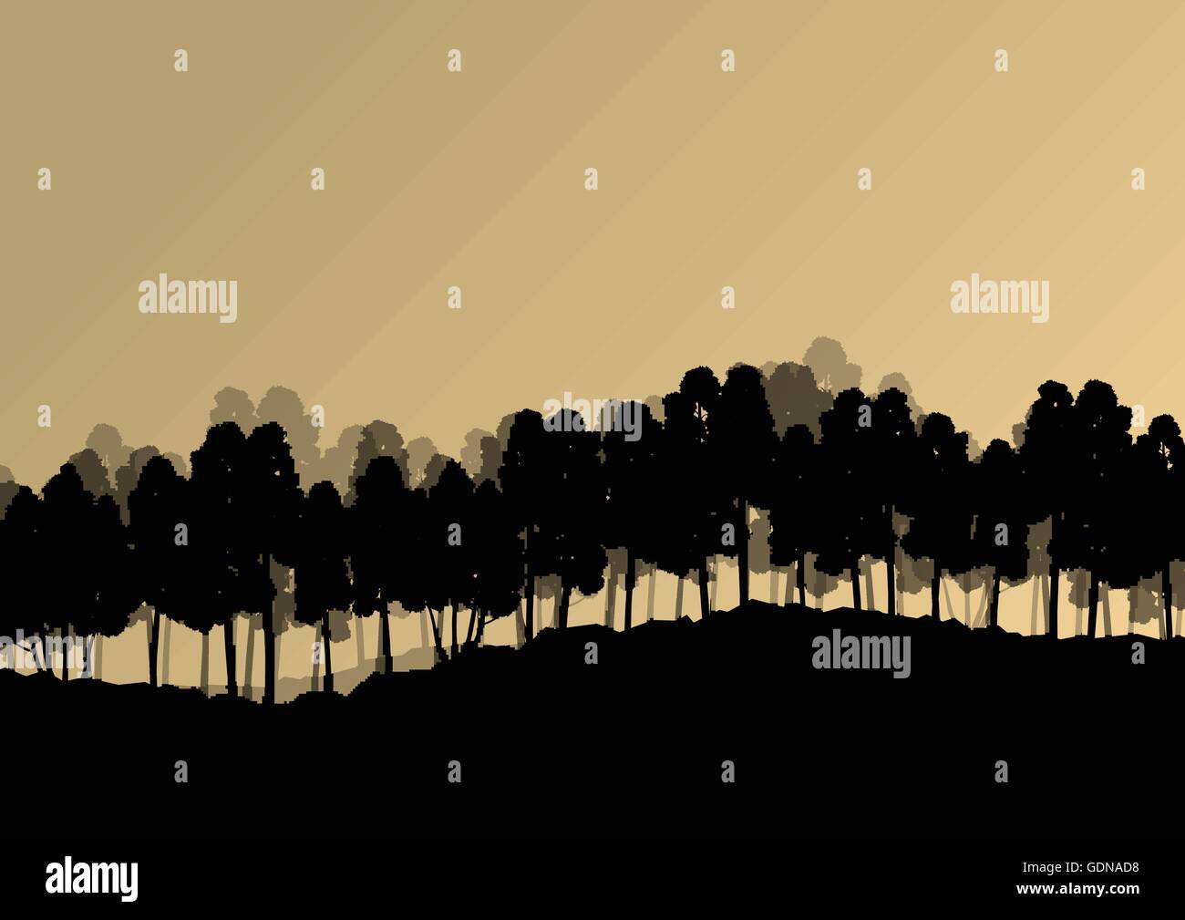 Forest trees silhouettes natural wild landscape detailed illustration ...