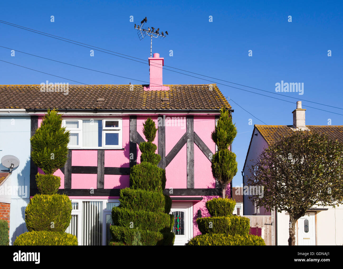 A small house painted pink and standing out from the crowd on a UK housing estate. Stock Photo