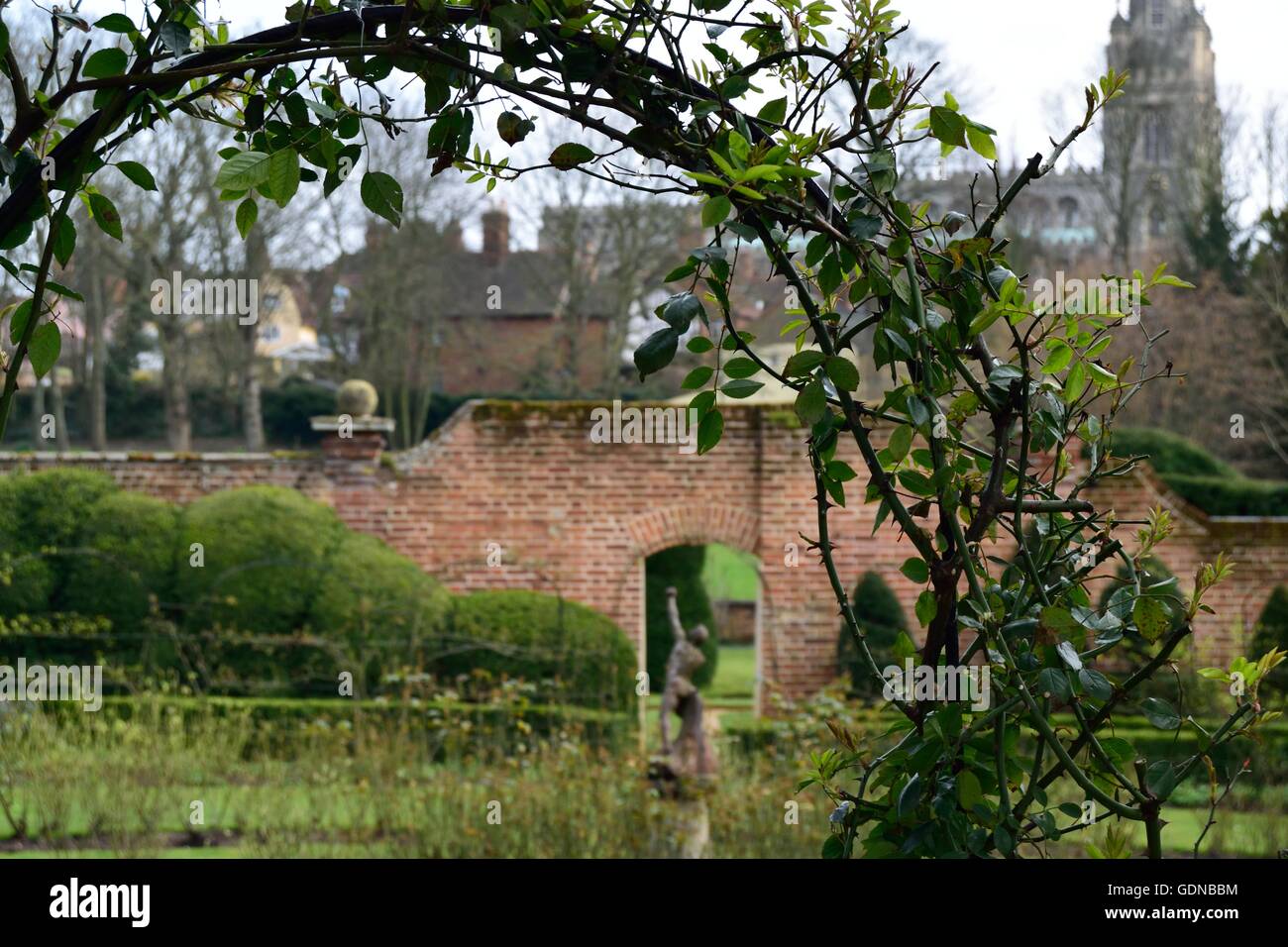 English Garden Rose Arch Stock Photo - Alamy