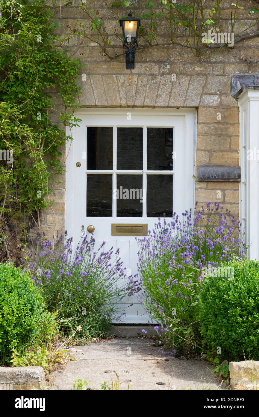 Lavender plants in front of a cottage door. Bledington, Gloucestershire, England Stock Photo