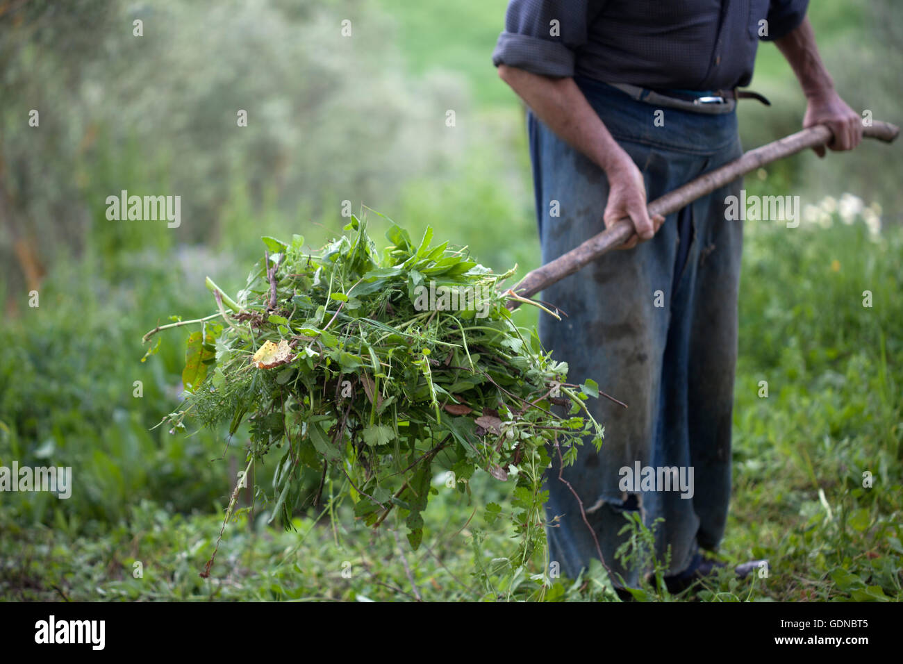 Pitchwork hires stock photography and images Alamy