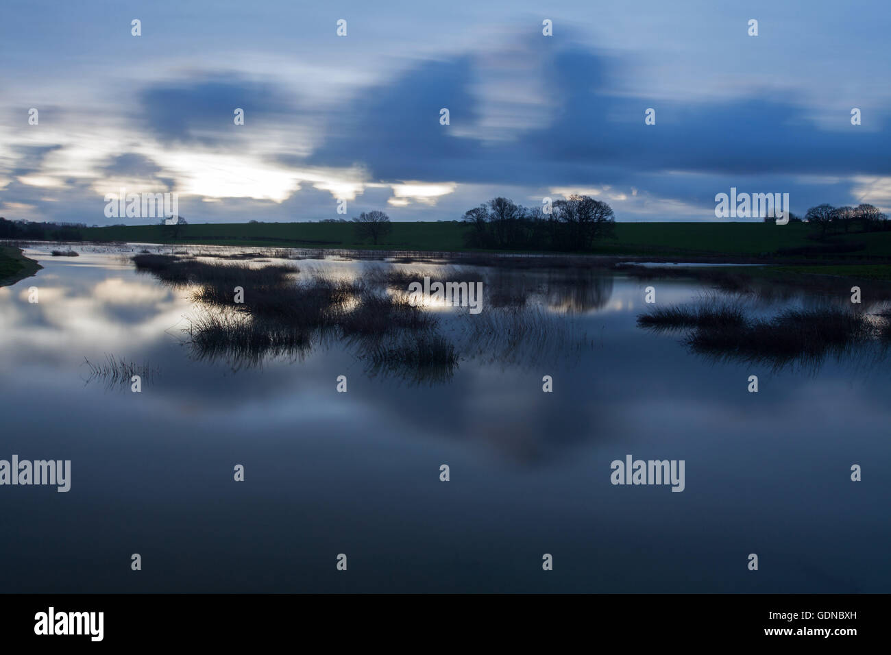 Shot of flooded field , Brede valley, East Sussex near Westfield taken in pre dawn light with an almost ethereal quality. Stock Photo