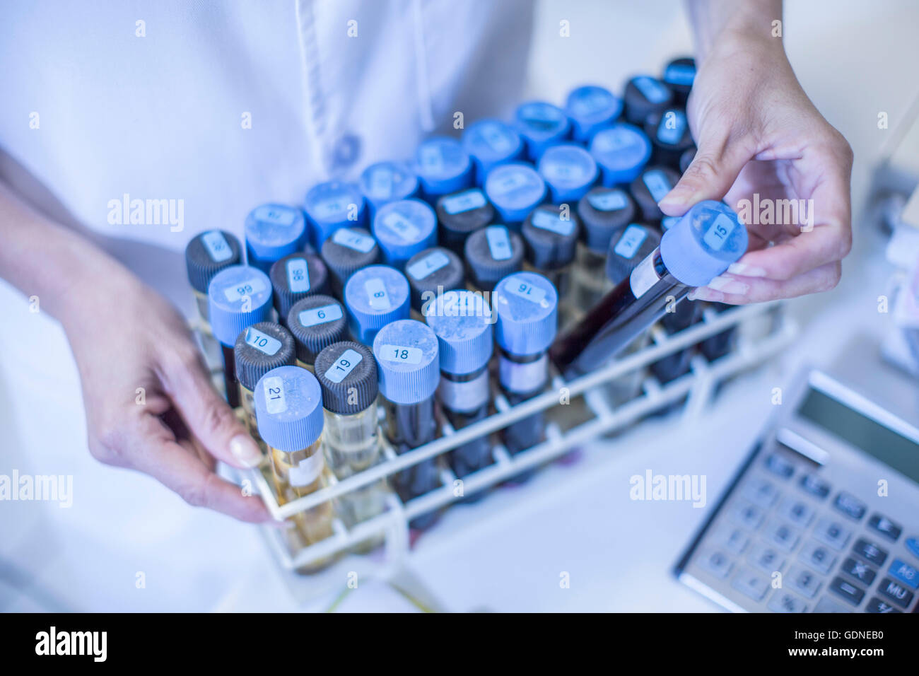 Woman in laboratory, holding tray of test tubes Stock Photo - Alamy