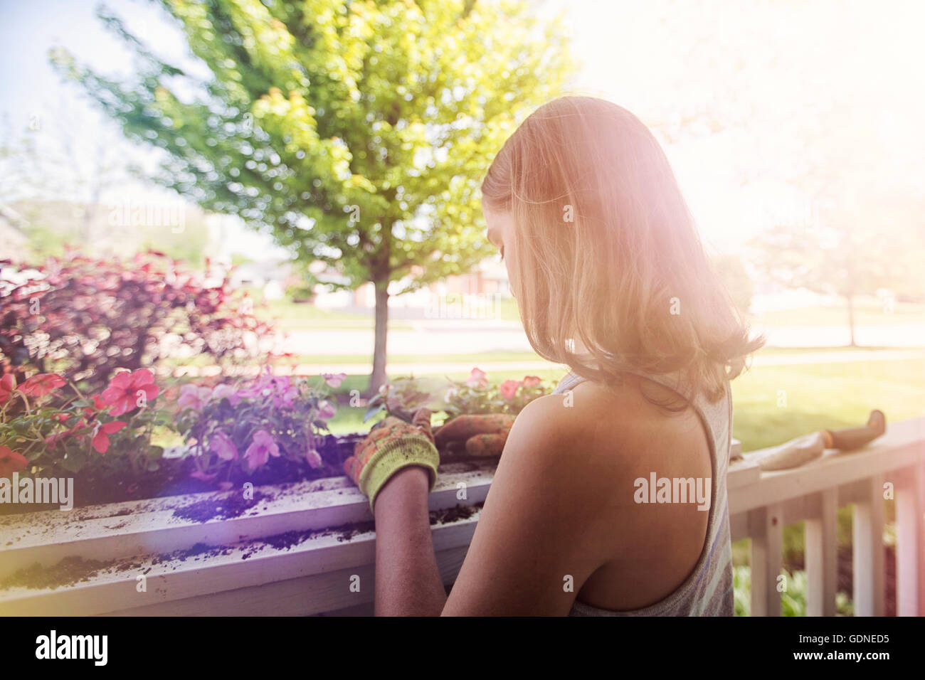 Rear view of girl planting flowers in planter box Stock Photo Alamy