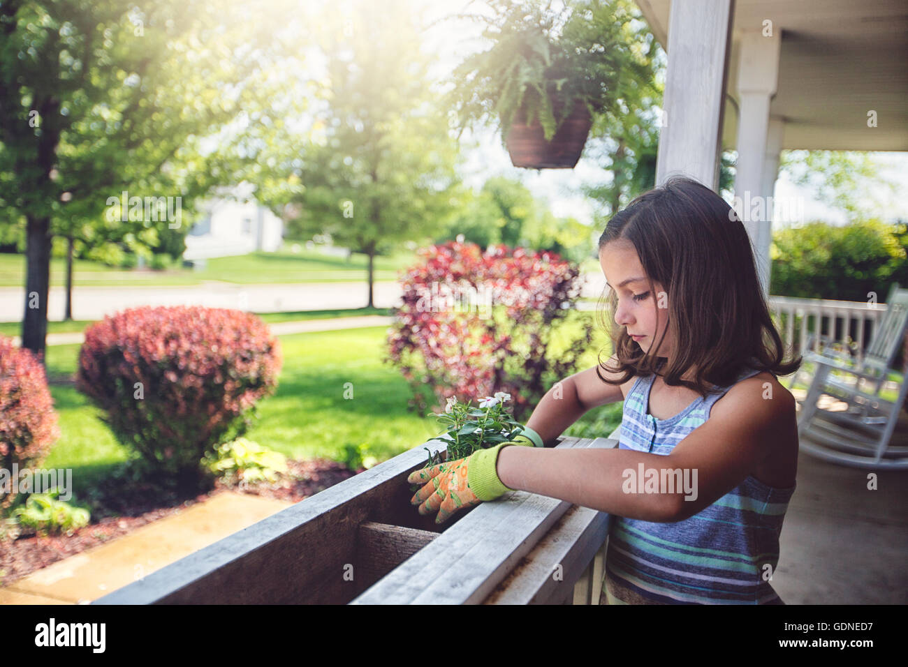 Girl planting flowers in planter box Stock Photo - Alamy