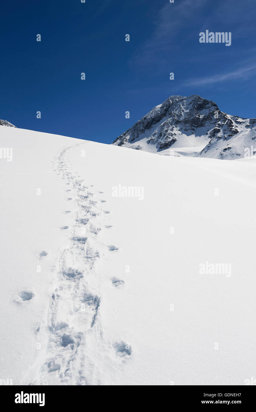 Footprints in snow, French Alps Stock Photo