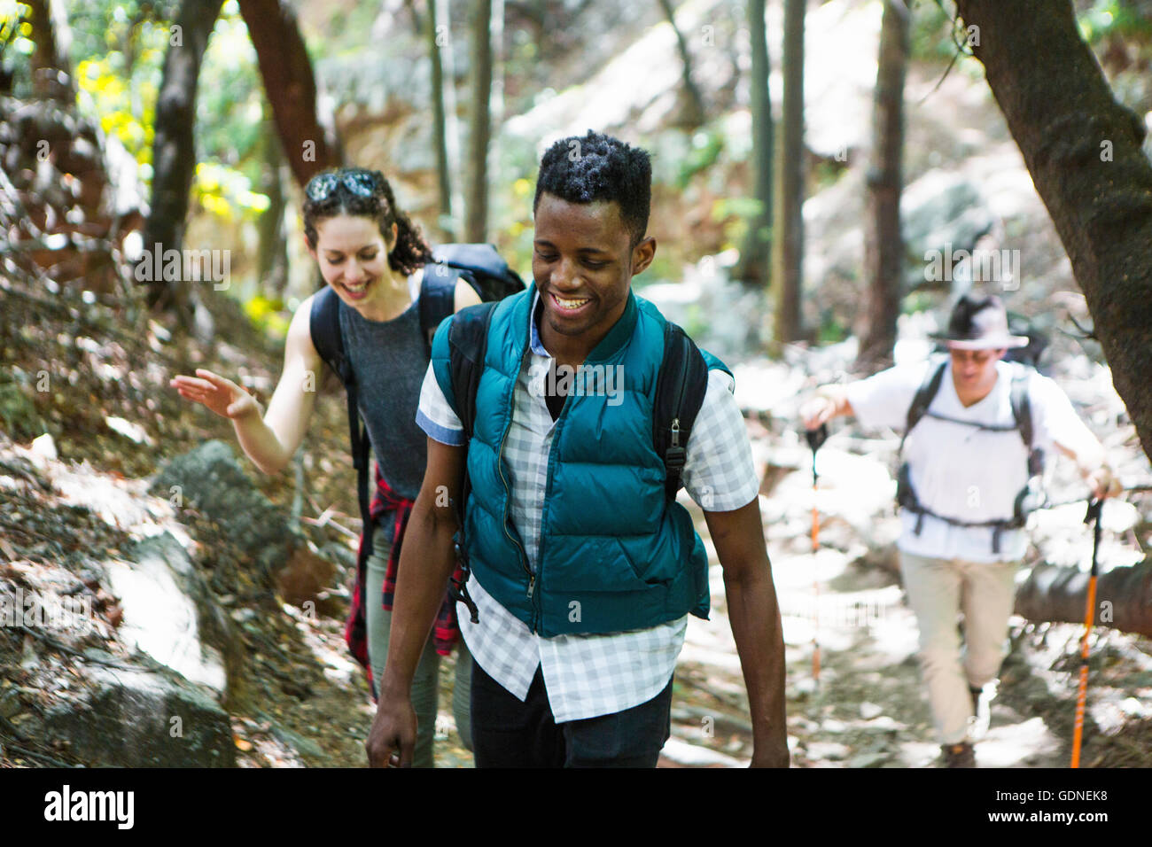 Three young adult hikers hiking up through woodland, Arcadia, California, USA Stock Photo
