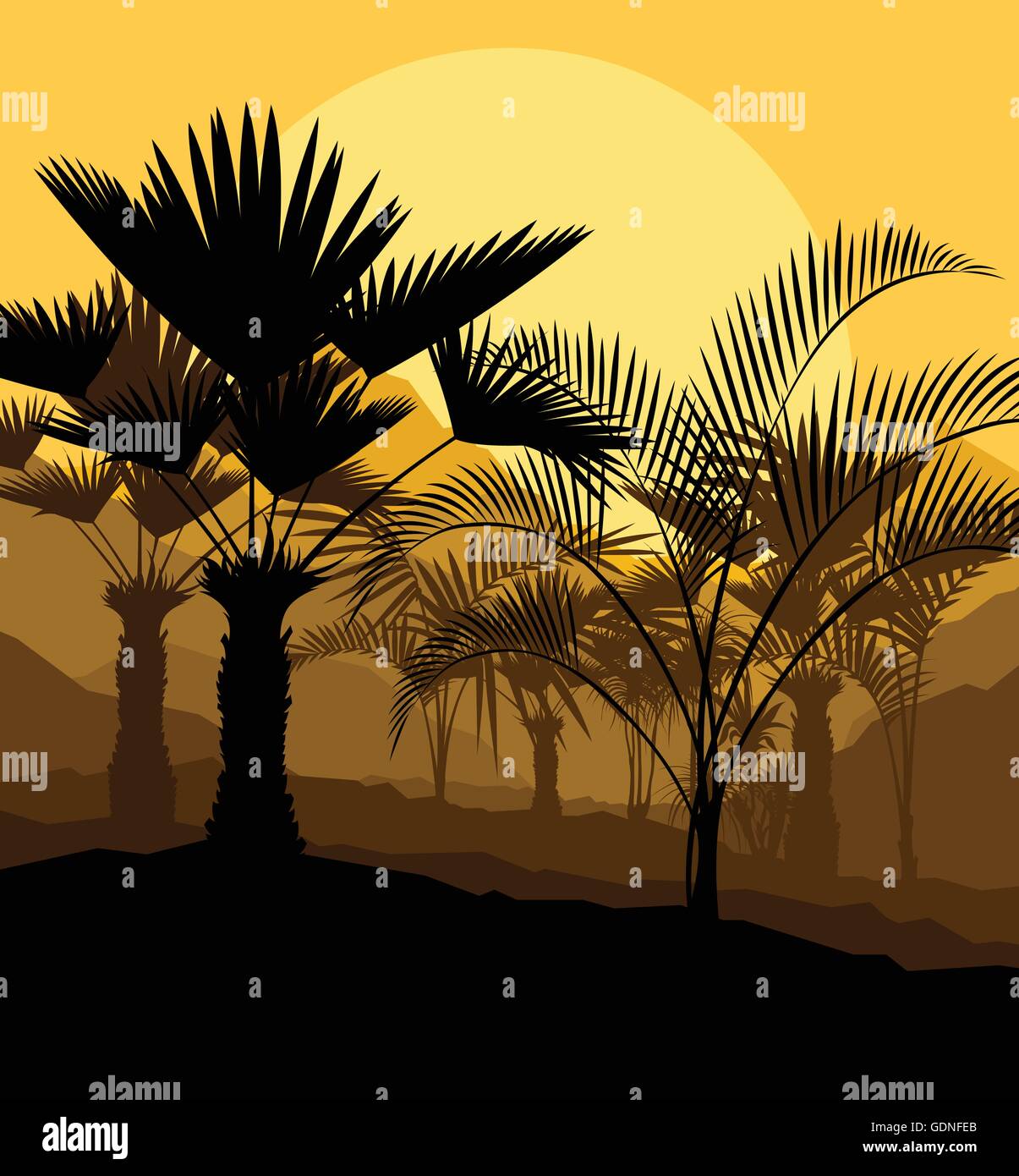 Tropical palm tree background vector for poster Stock Vector Image