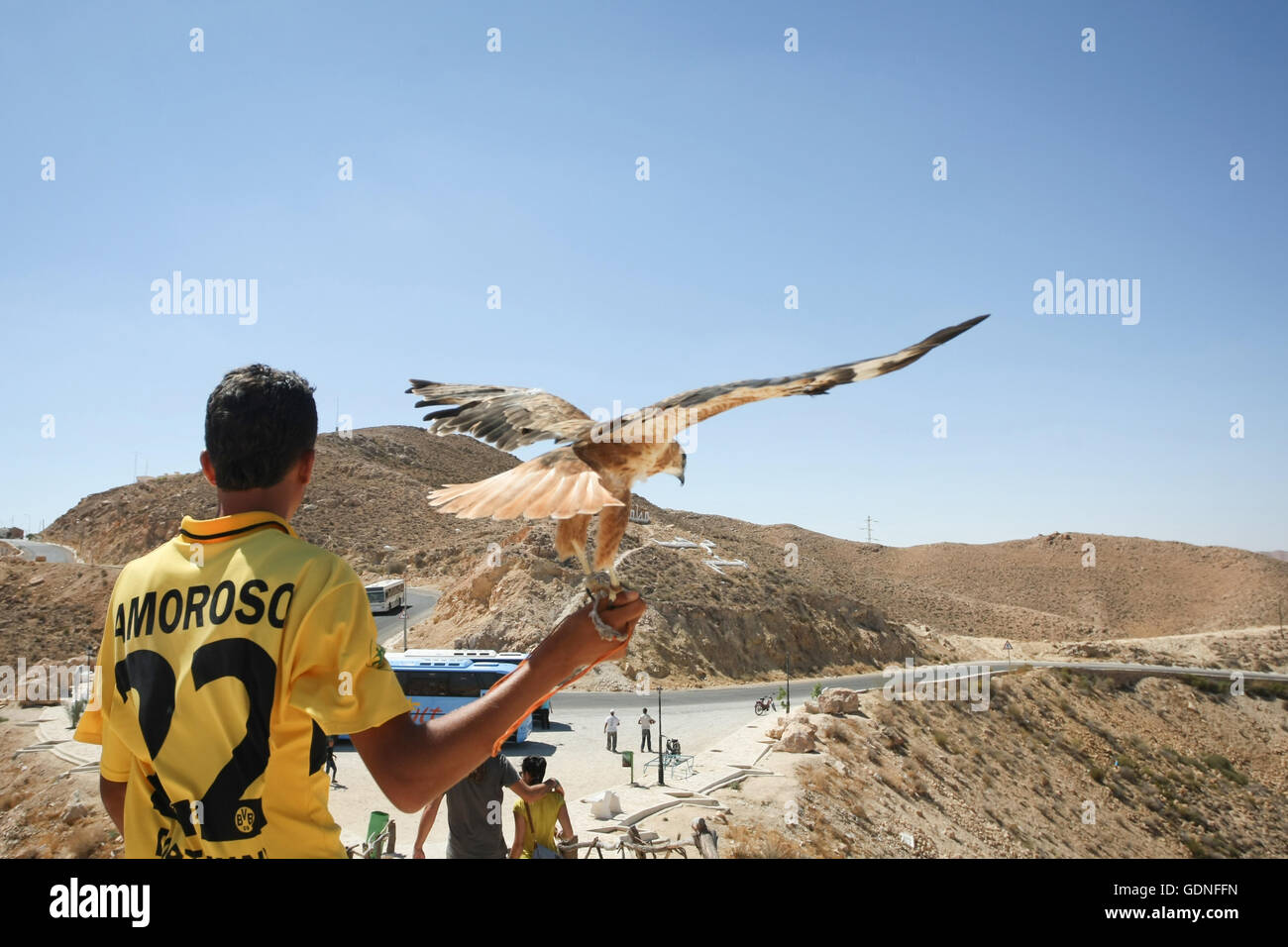 A rear view of a Tunisian man holding a hawk for photographing with tourists at a tourist stop in Matmata with a view of rocky Stock Photo