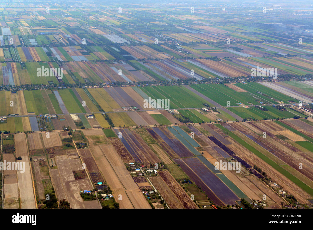 the landscape near the city of Bangkok in Thailand in Southeastasia. Stock Photo