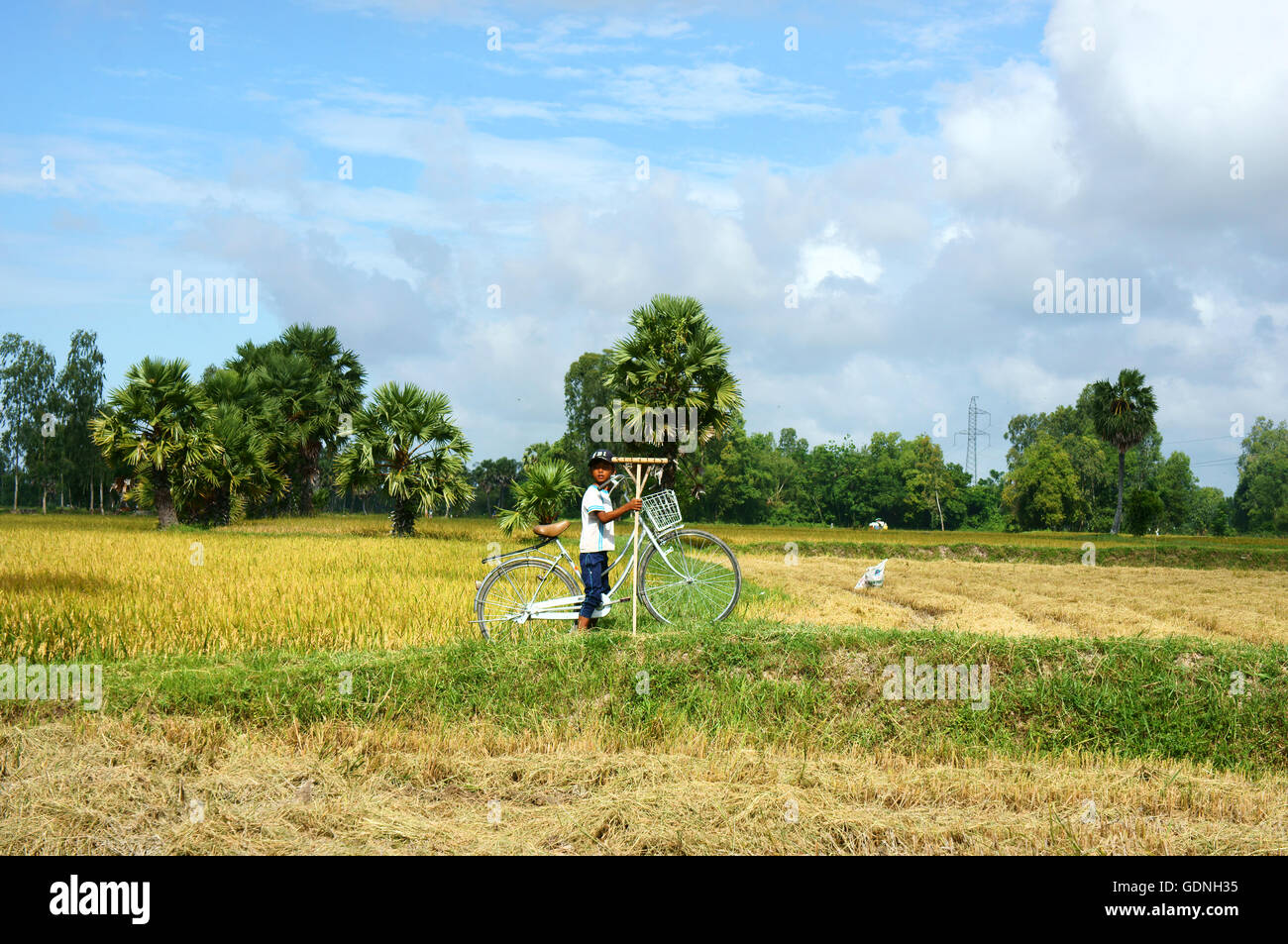 Child labor at Asia countryside Stock Photo Alamy