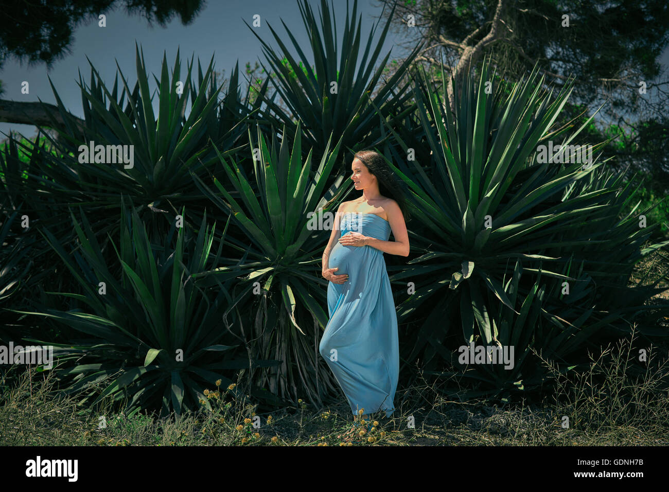 Expectant mother in a blue dress on background of cacti Stock Photo
