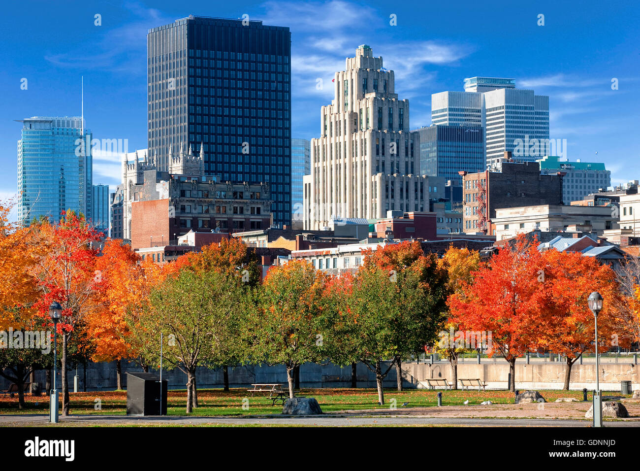 Montreal  skyline in Autumn Stock Photo