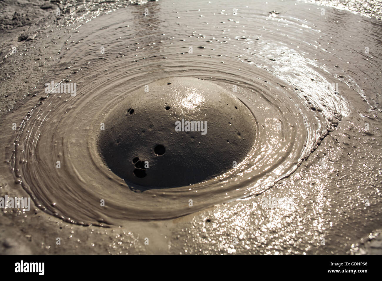 Mud bubble created by mud volcano in Romania Stock Photo