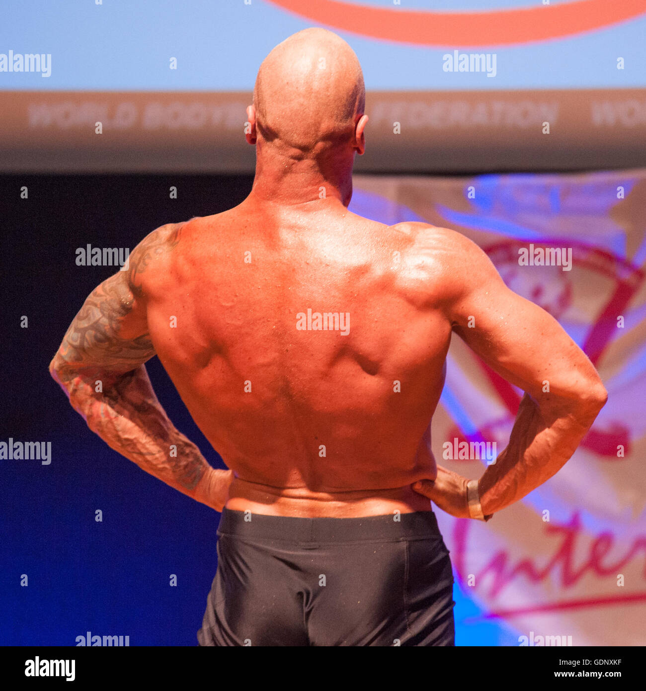 Male bodybuilder Erik Stobbe shows his best lats spread pose Stock