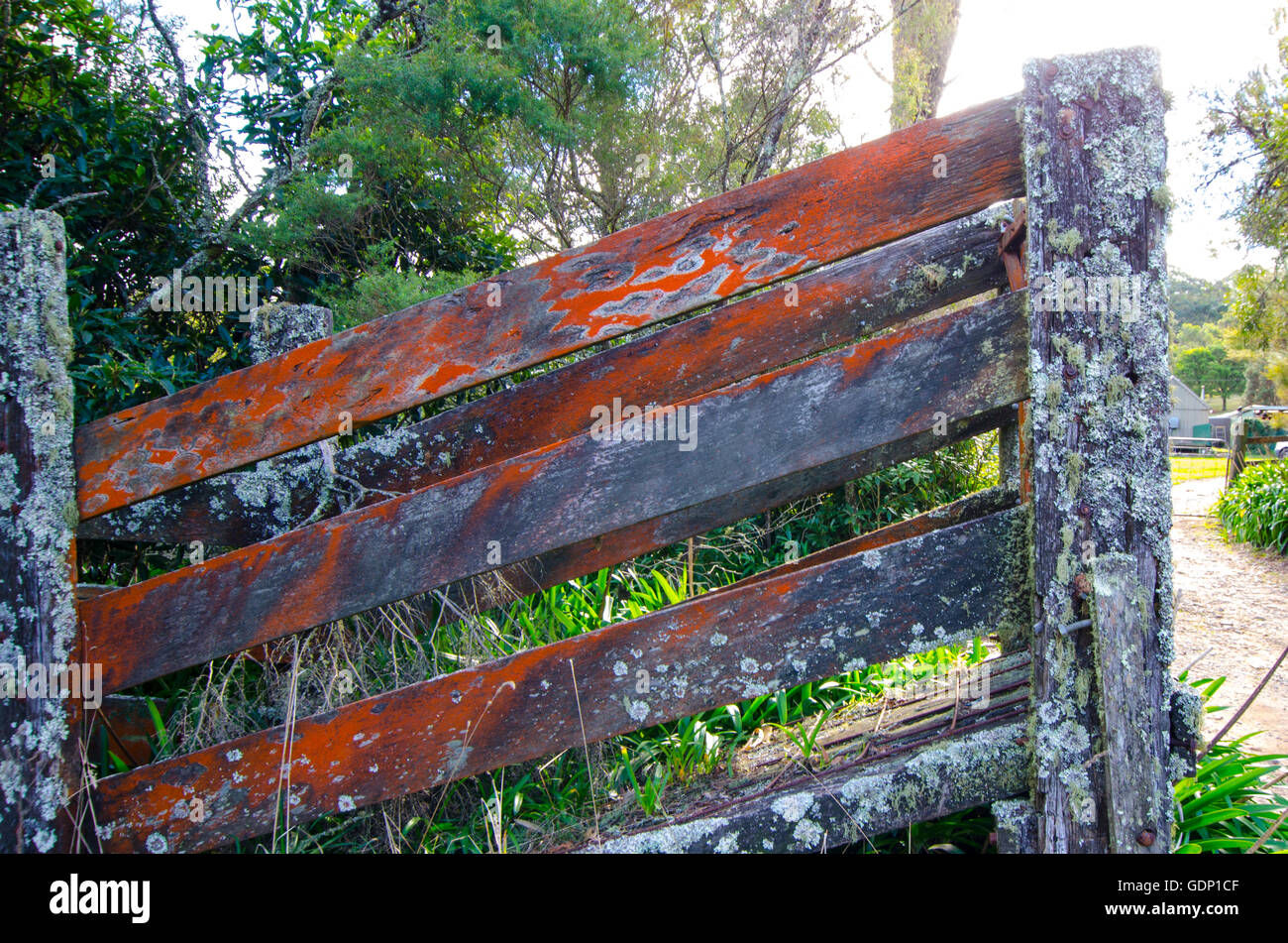 Old livestock ramp hi-res stock photography and images - Alamy