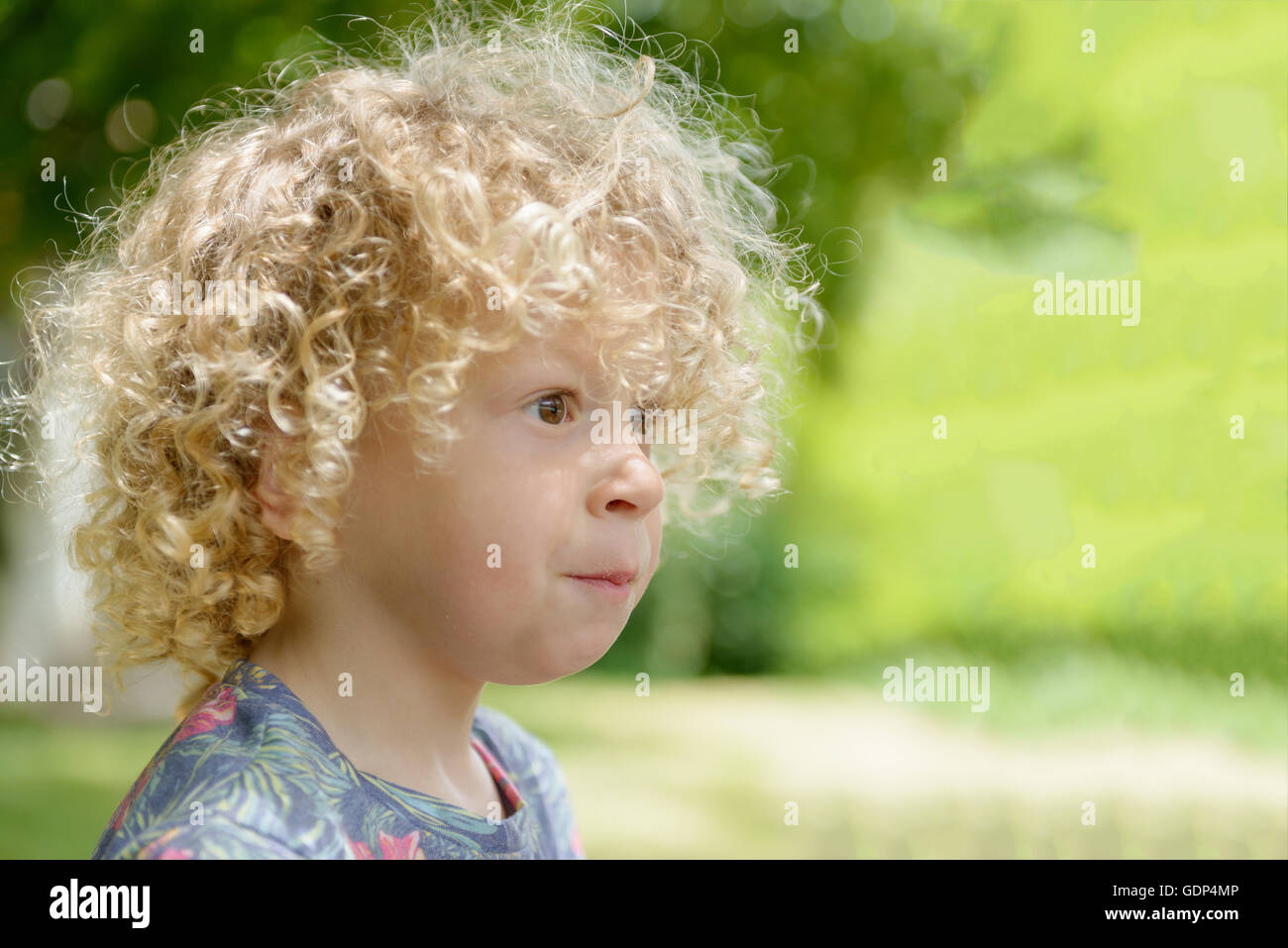 A Portrait Of A Little Boy With Blond Curly Hair Stock Photo