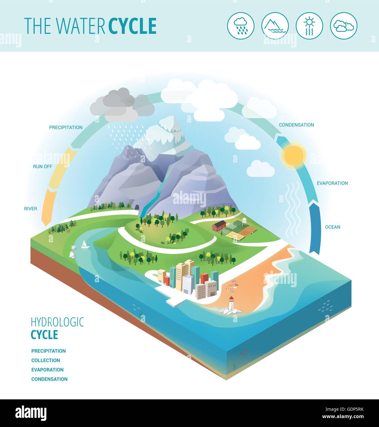 Draw a concept sketch that shows the major ways that water m | Quizlet