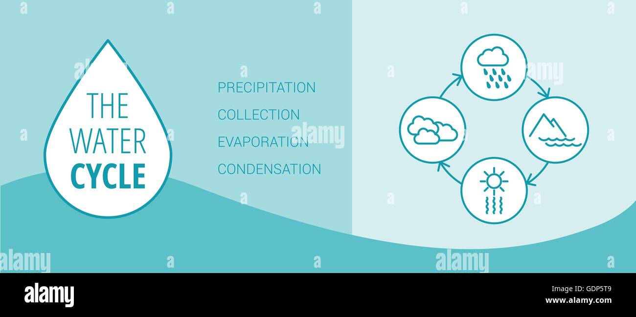 The water cycle vector diagram of precipitation, collection, evaporation and condensation, icons set Stock Vector