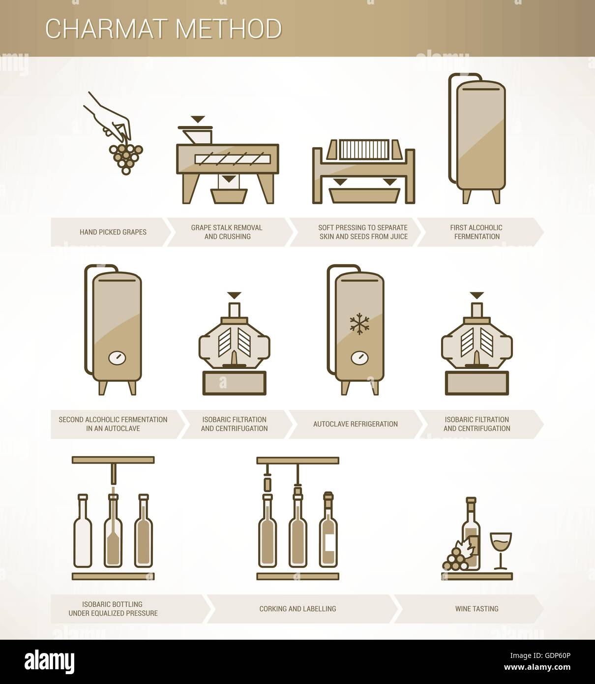 Winemaking procedure from grape to wine charmat method infographics