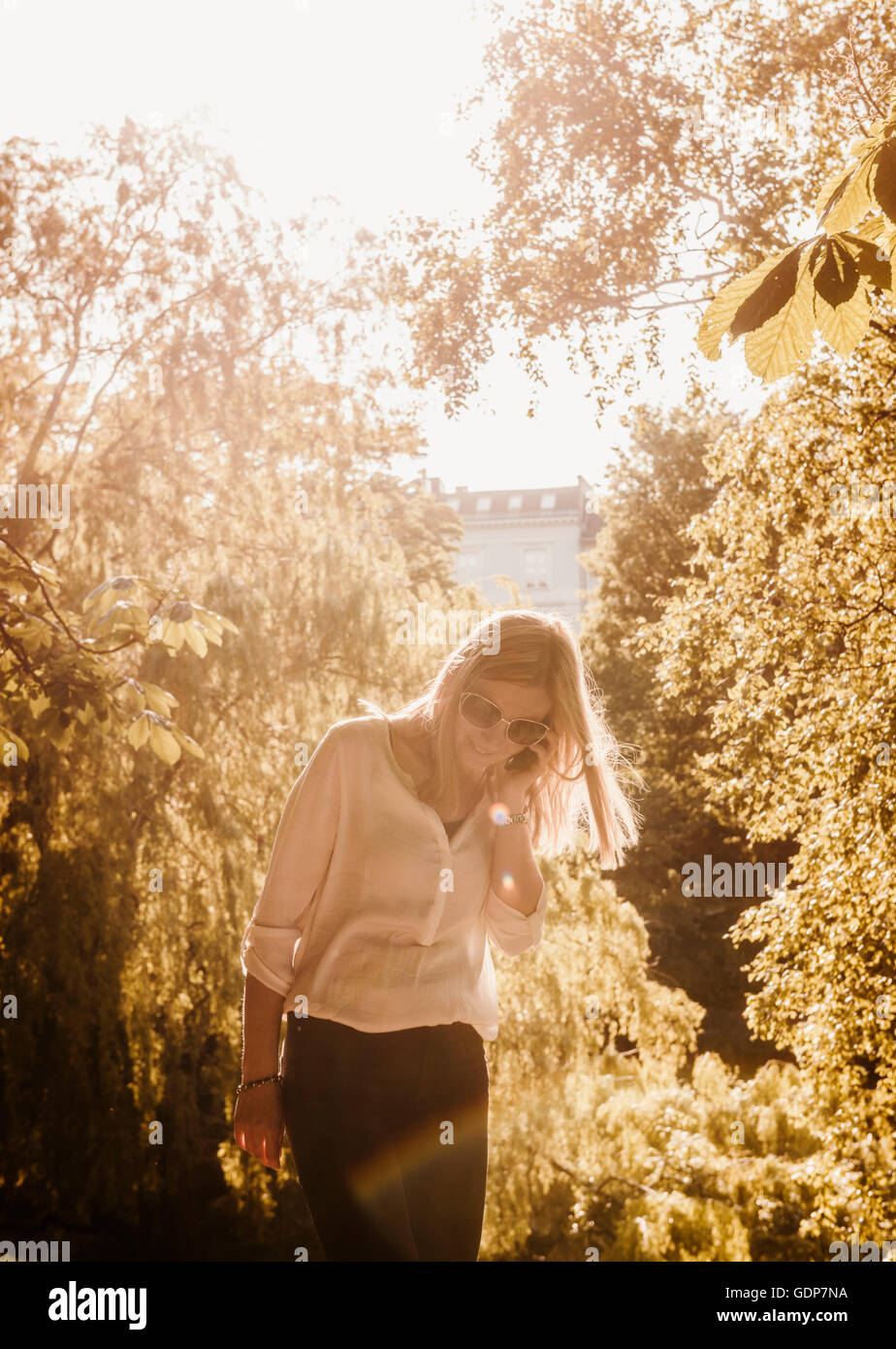 Woman using mobile phone in park, Copenhagen, Denmark Stock Photo
