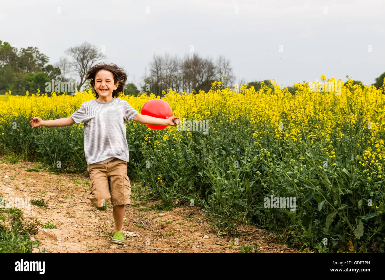 Boy running on yellow flower field track pulling red balloon Stock