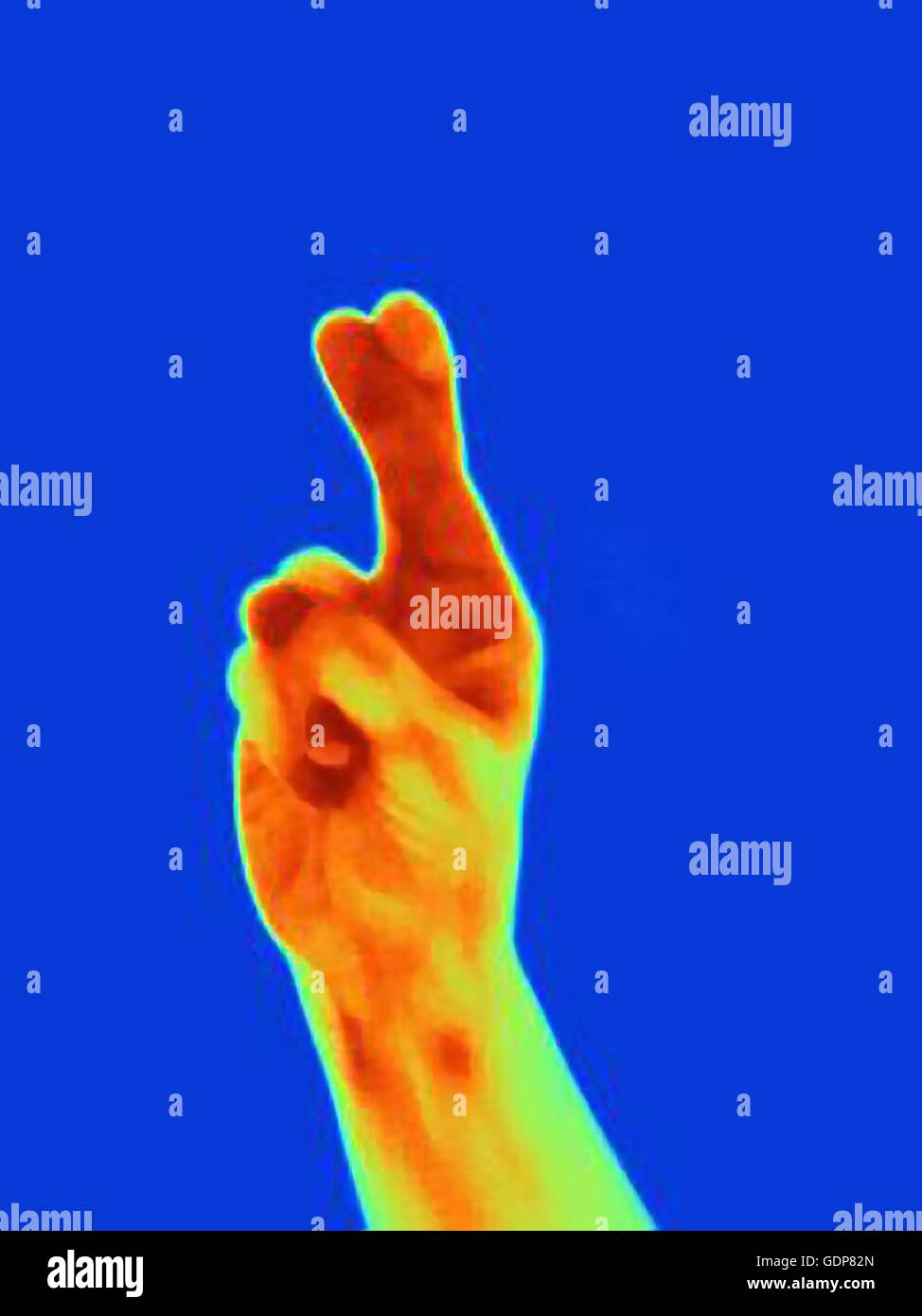 Thermal image of woman's hand with fingers crossed Stock Photo