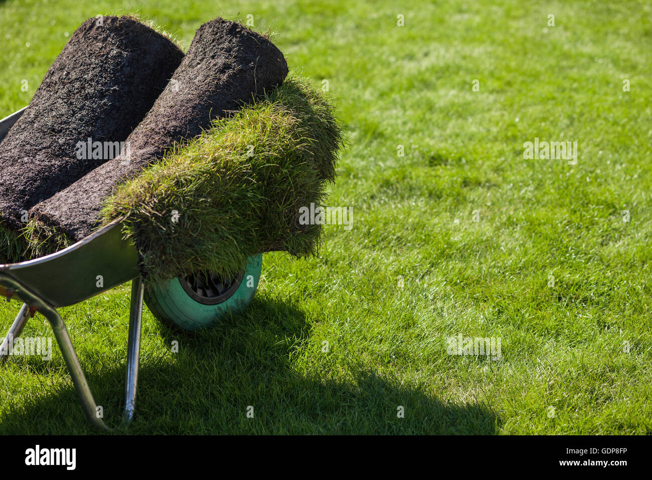 Rolls of turf in garden wheelbarrow Stock Photo