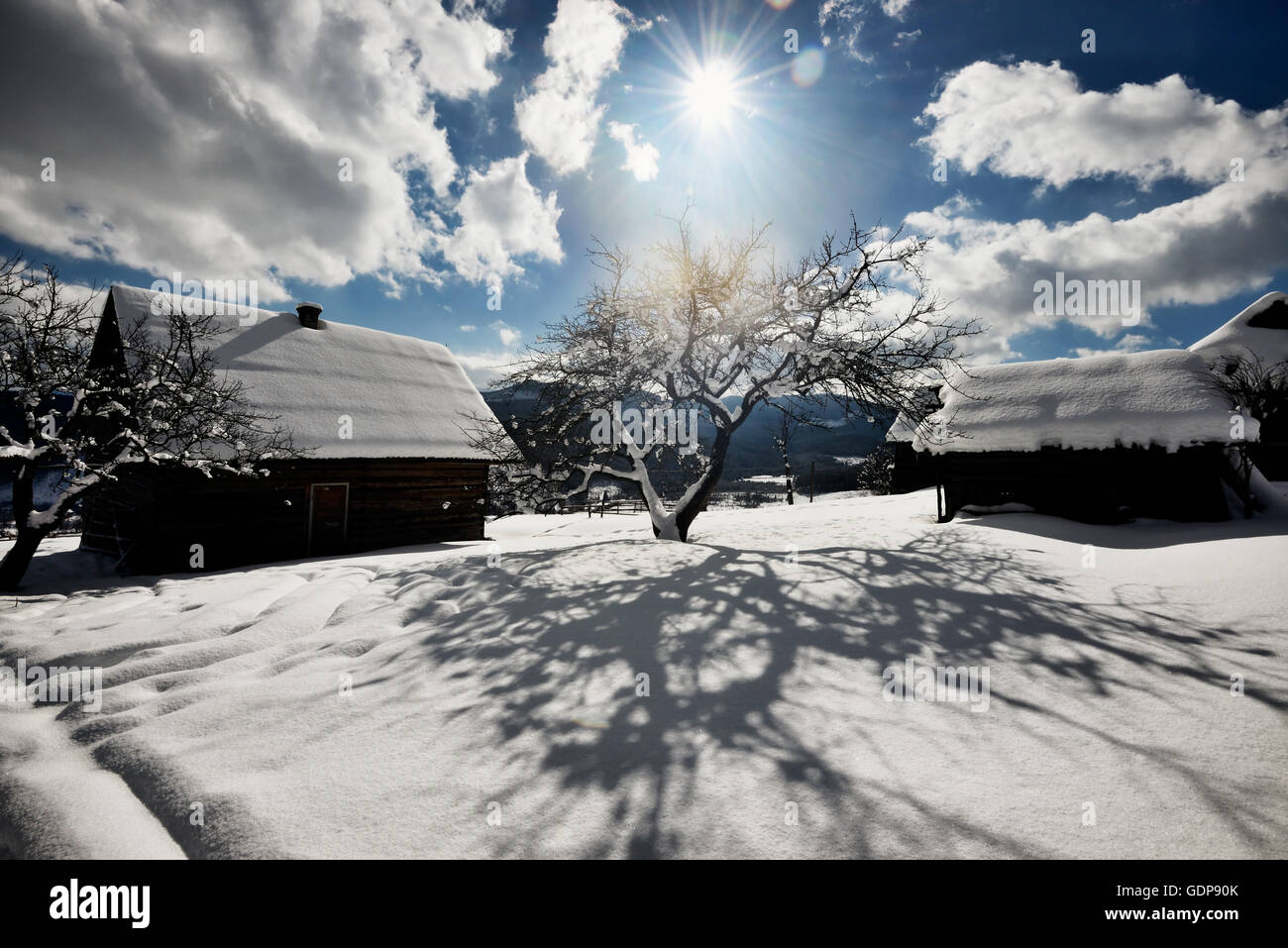 Chorna Tysa Mountain Village, Carpathian Mountains, Ivano-Frankovsk Region, Ukraine Stock Photo
