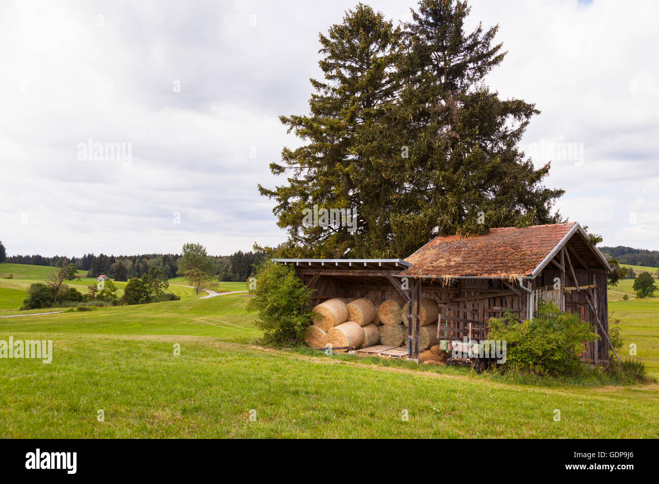 Field landscape with haystacks in traditional barn Stock Photo