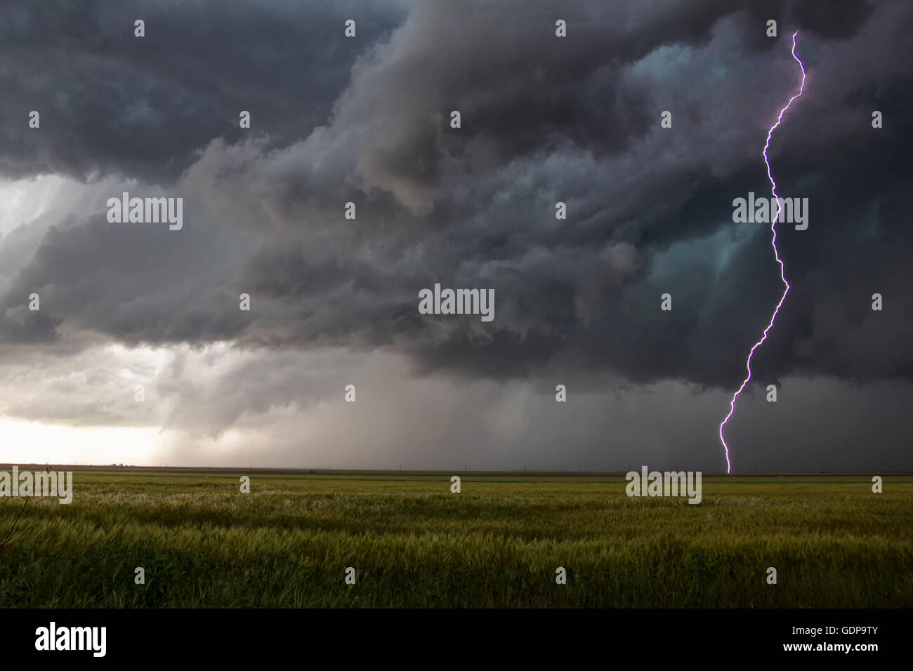 A smooth channel lightning bolt arcs to the ground through the turbulent updraft base Stock Photo