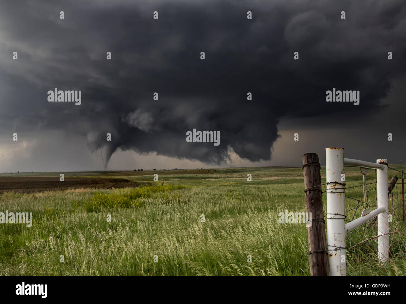 A large cone tornado touches down in an open country field from a very large angled ground-scraping wall cloud Stock Photo