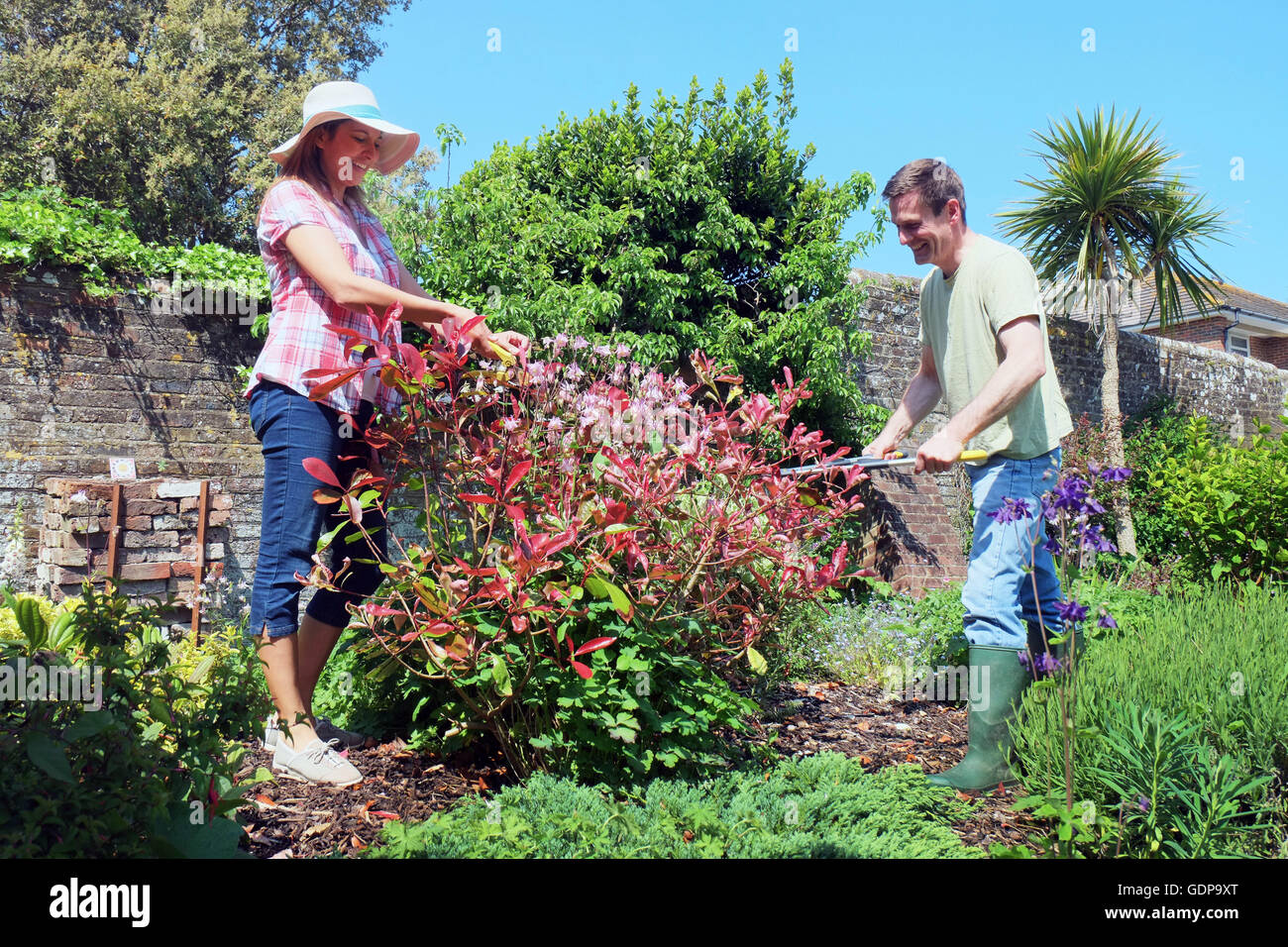 Couple tending to garden Stock Photo
